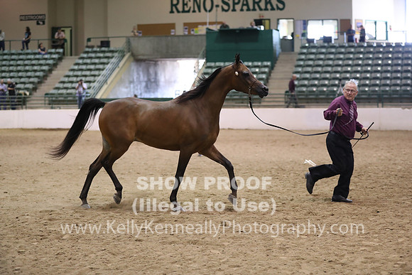 R319_MonAM_0723