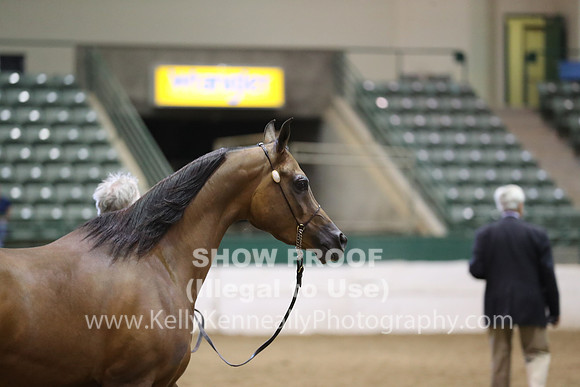 R319_MonAM_0724