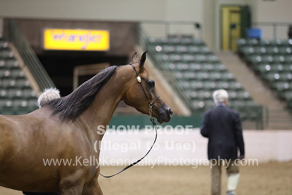 R319_MonAM_0725