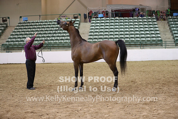 R319_MonAM_0726
