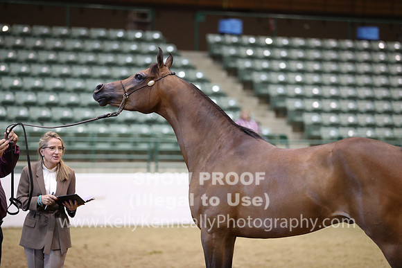 R319_MonAM_0728