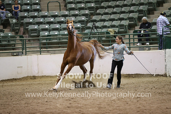 R319_MonAM_0735