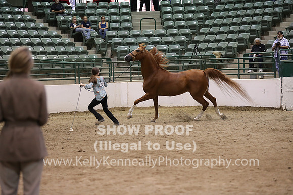 R319_MonAM_0736
