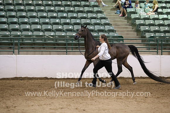 R319_MonAM_0742