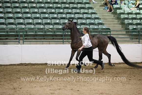 R319_MonAM_0743