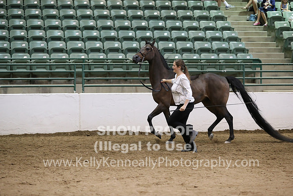 R319_MonAM_0745