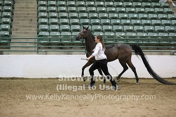 R319_MonAM_0746