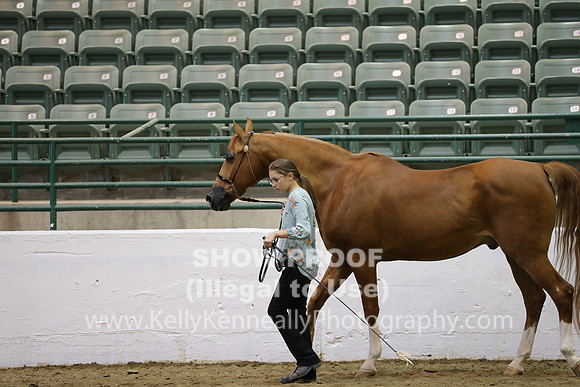R319_MonAM_0748