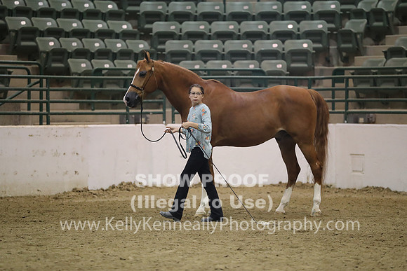 R319_MonAM_0750