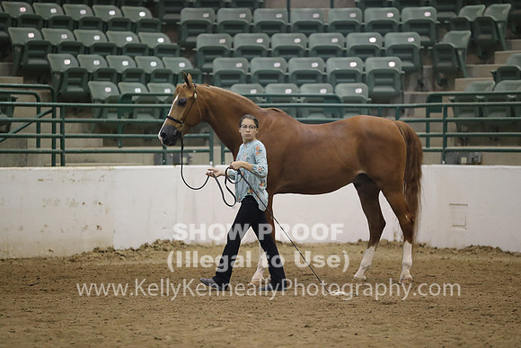 R319_MonAM_0751