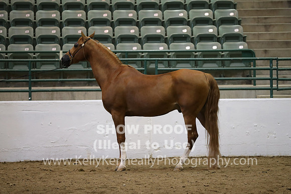 R319_MonAM_0754