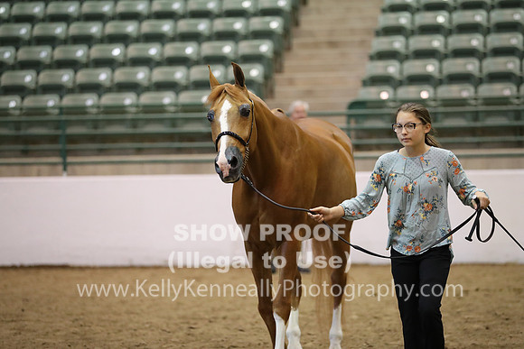 R319_MonAM_0757