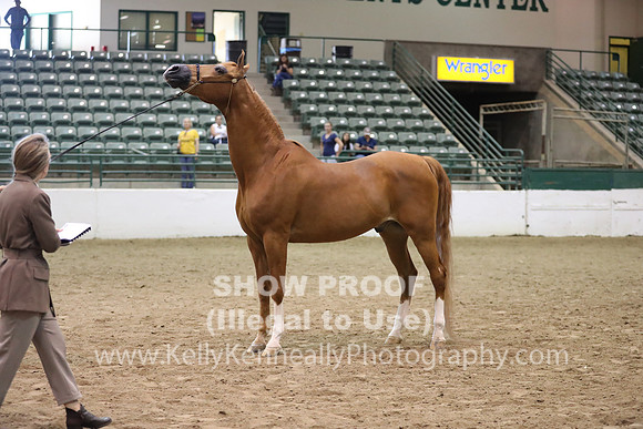 R319_MonAM_0759