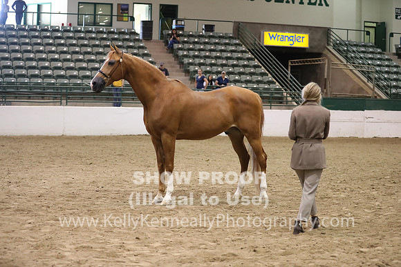 R319_MonAM_0760