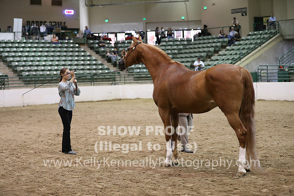 R319_MonAM_0763