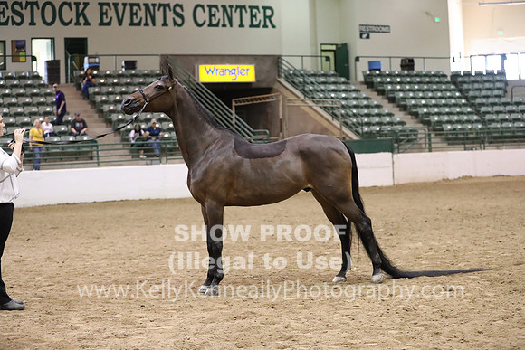 R319_MonAM_0768
