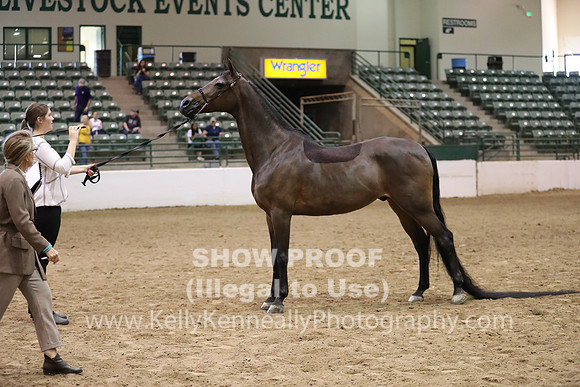 R319_MonAM_0769