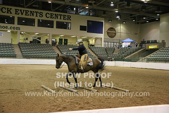R319_B_TuesAM_0088