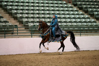 R319_MonAM_0904