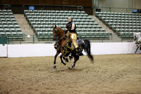 Class 23 HA/AA Mounted Native Costume ATR