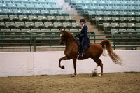 R319_MonAM_1219
