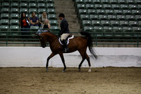 Class 25 Arabian Hunter Pleasure Ladies & Gentlemen to Ride