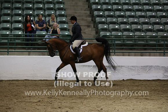 R319_MonAM_0976