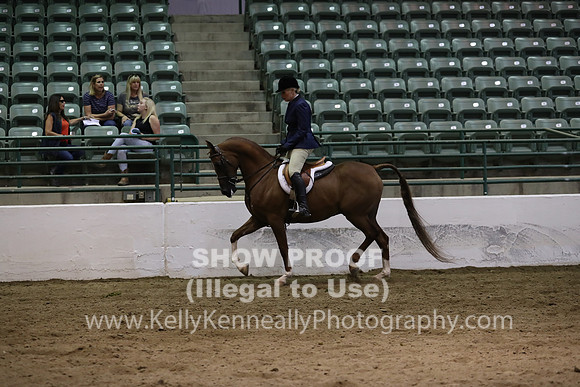 R319_MonAM_0978