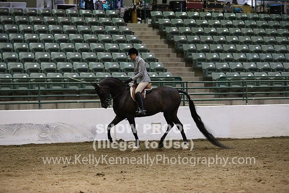 R319_MonAM_0987