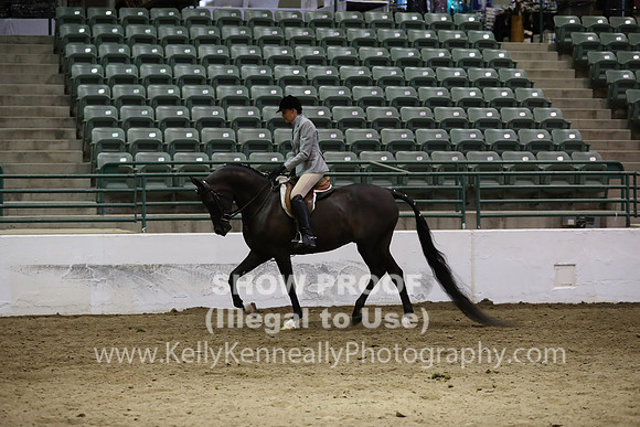 R319_MonAM_0988