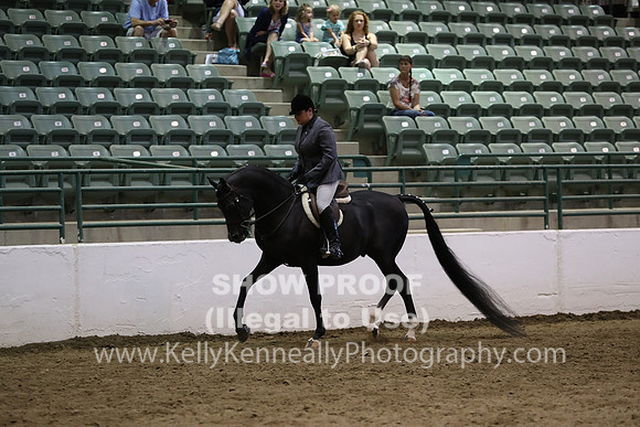 R319_MonAM_0989