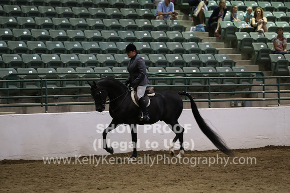 R319_MonAM_0990