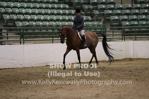 R319_MonAM_0993