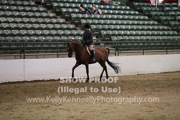 R319_MonAM_0995