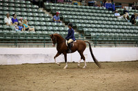 R319_MonAM_1027