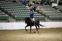 R319_MonAM_1028