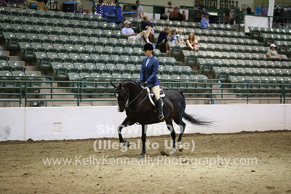 R319_MonAM_1028