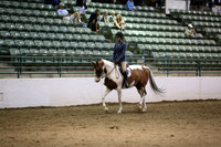 Class 26 HA/AA Hunter Pleasure JOTR 18 yrs/Under