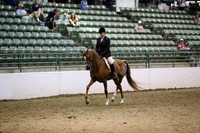 R319_MonAM_1038