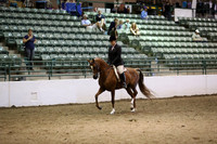R319_MonAM_1039