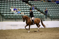 R319_MonAM_1041