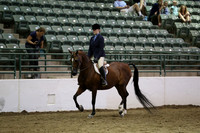 R319_MonAM_1043