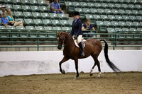 R319_MonAM_1044