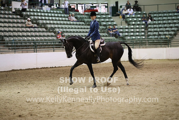 R319_MonAM_1047