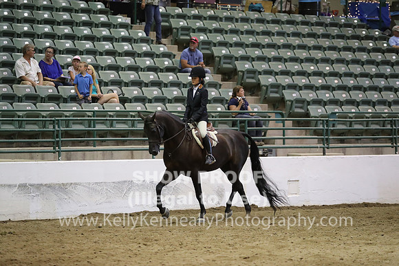 R319_MonAM_1069