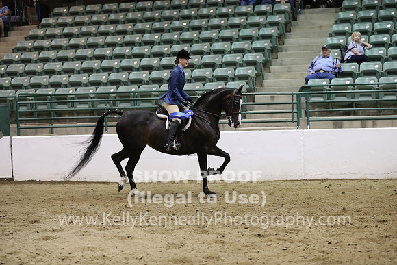 R319_MonAM_1095