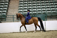 Class 27 A/HA/AA Walk Trot Saddle Seat Equitation Riders 10 yrs & Under
