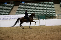 R319_MonAM_1162