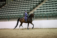 R319_MonAM_1166