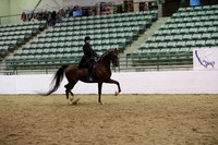 Class 28 Saddle Seat Equitation JTR 18 yrs/under